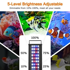 Aquarium Light