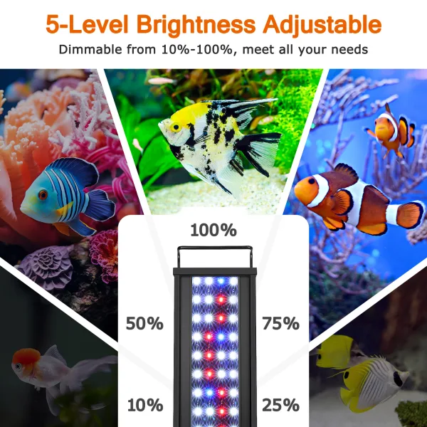 Aquarium Light