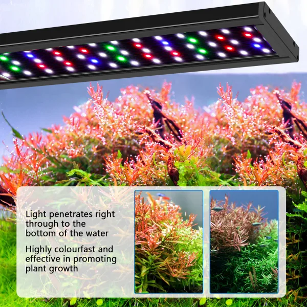 Aquarium Light