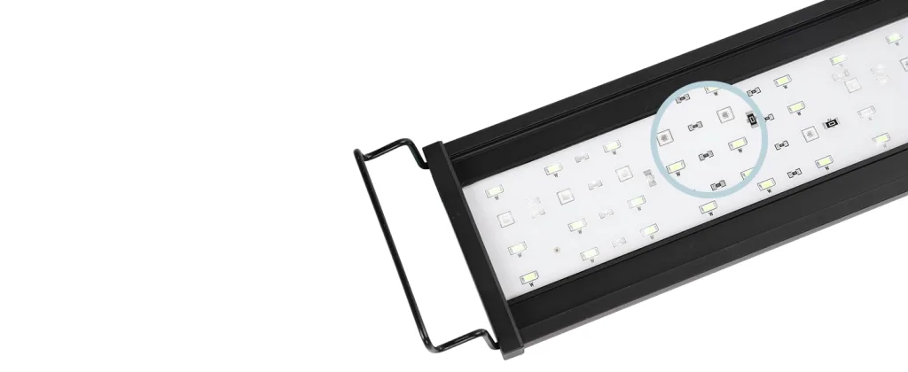 Aquarium Light