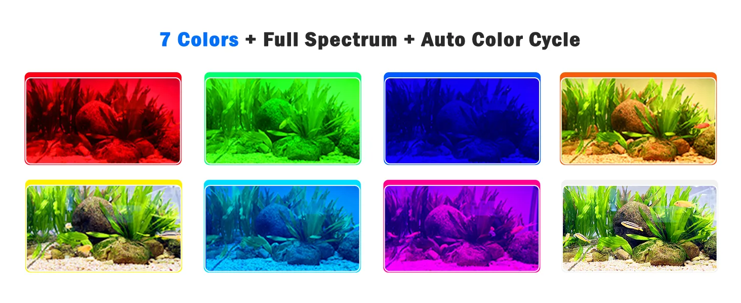 Aquarium Light