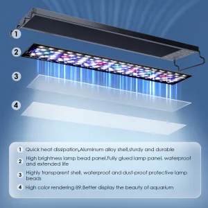 Aquarium Light