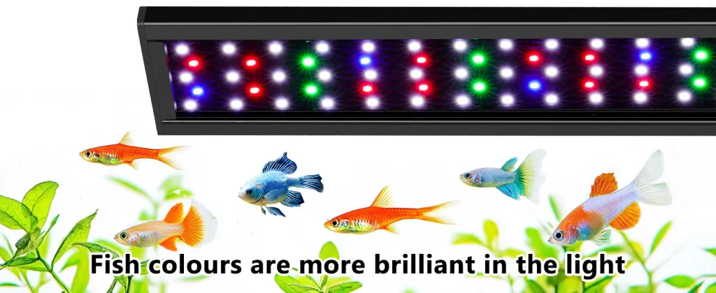 Aquarium Light