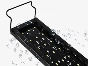 Aquarium Light
