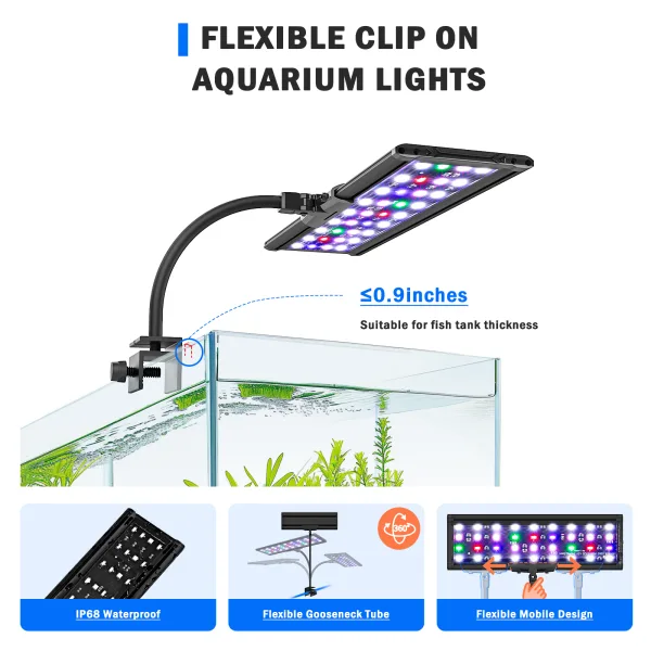 Aquarium Light