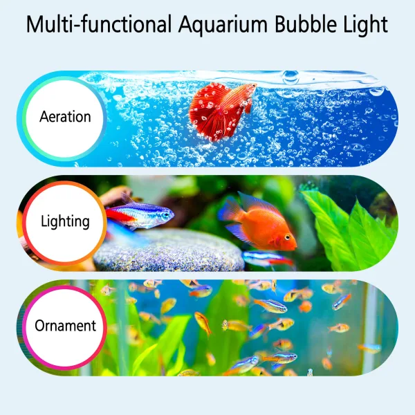 Aquarium Light