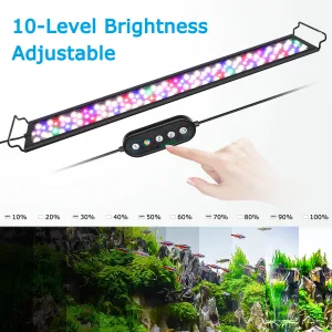 Aquarium Light