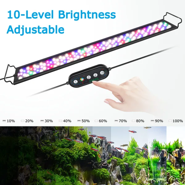 Aquarium Light