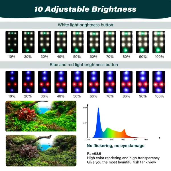 Aquarium Light