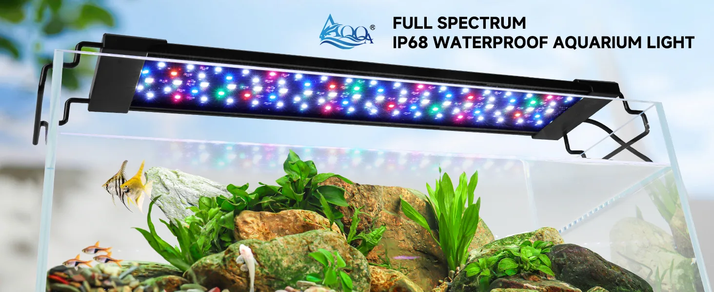 Aquarium Light