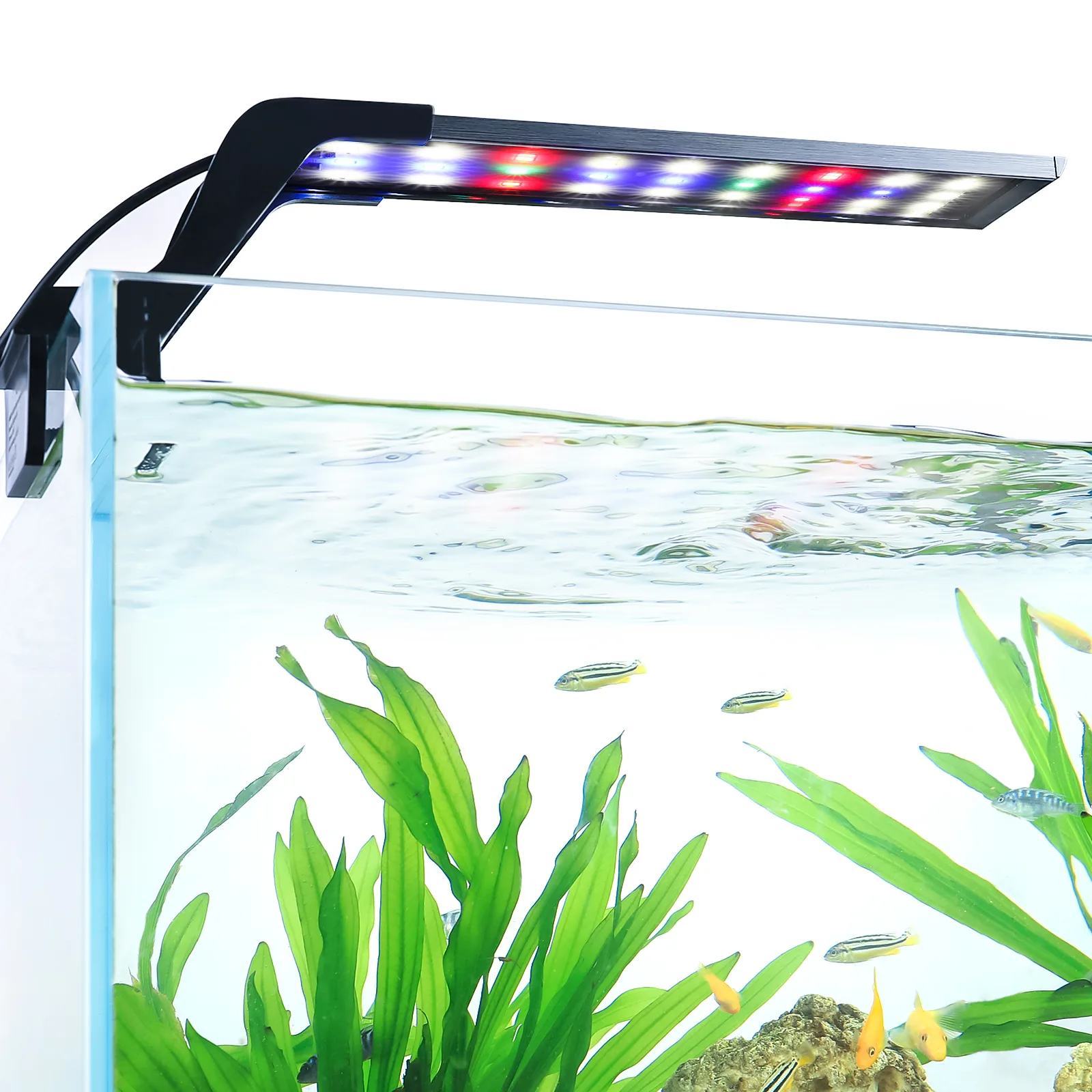 Aquarium Light