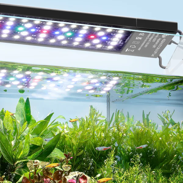Aquarium Light
