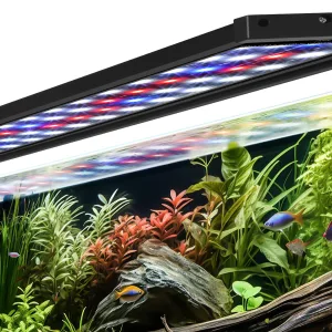 Aquarium Light