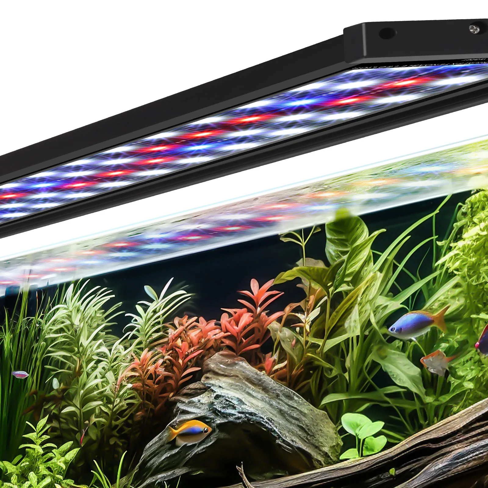 Aquarium Light