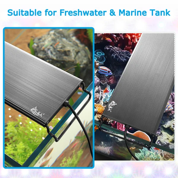 Aquarium Light