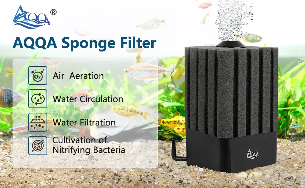 Filter and Accessories