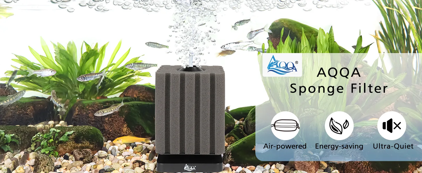Filter and Accessories