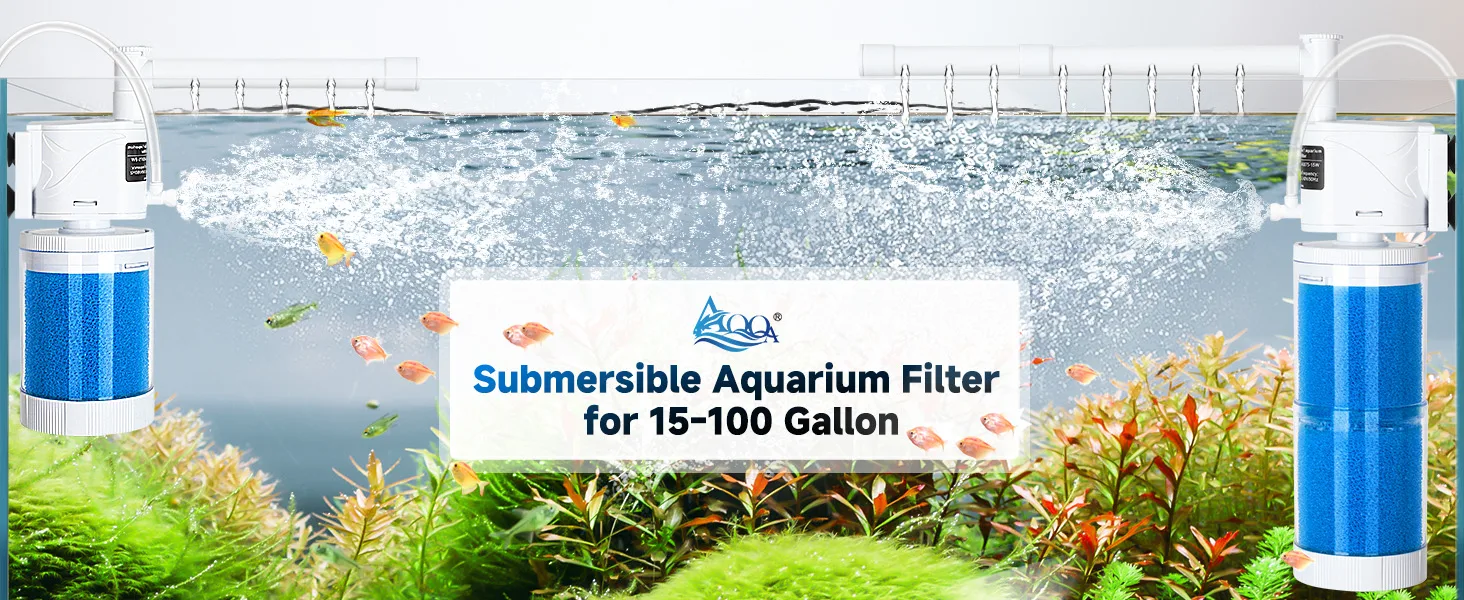 Filter and Accessories