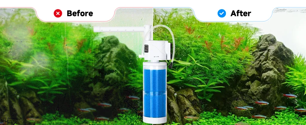 Filter and Accessories