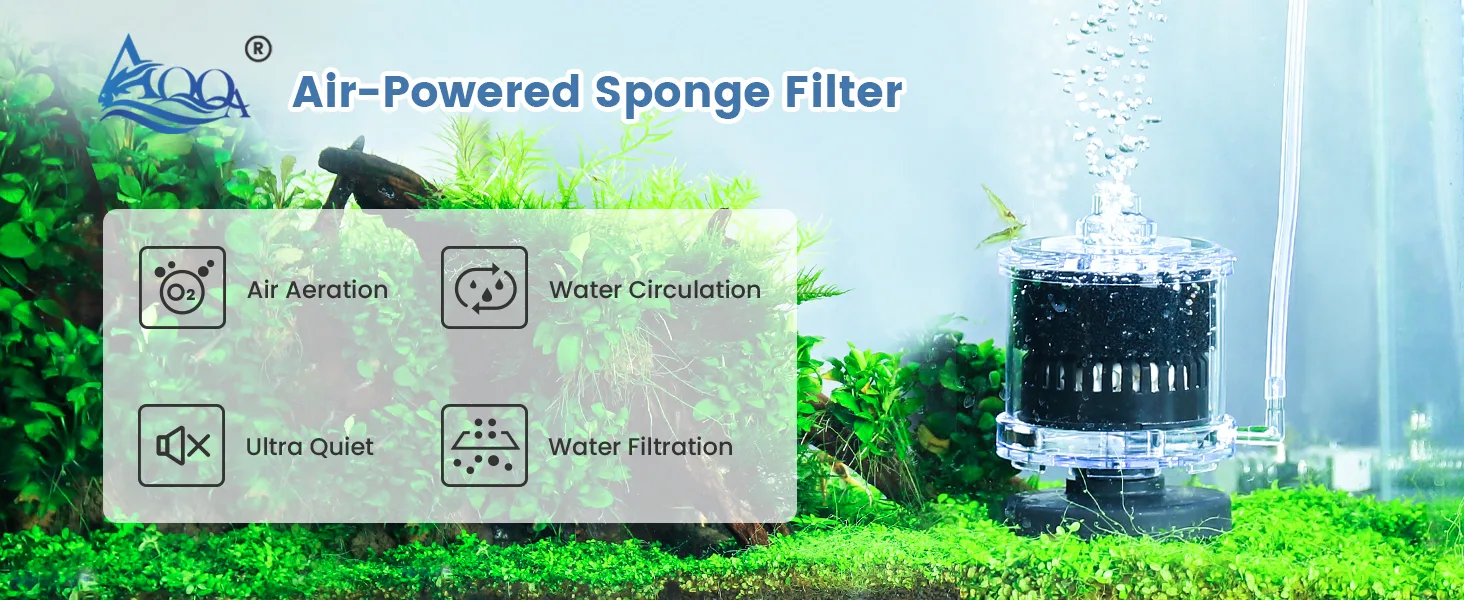 Filter and Accessories