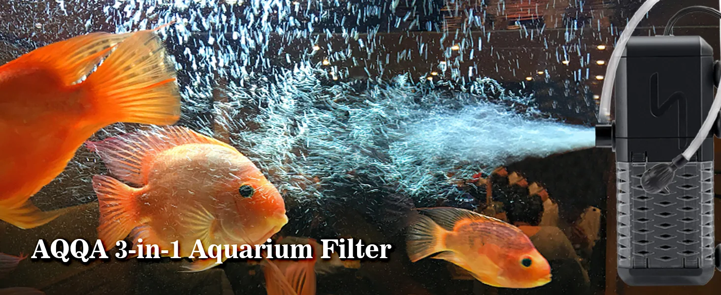 Filter and Accessories