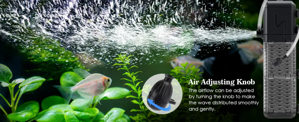 Filter and Accessories