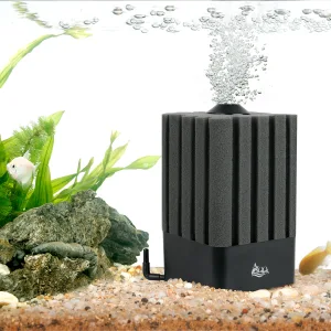 Filter and Accessories