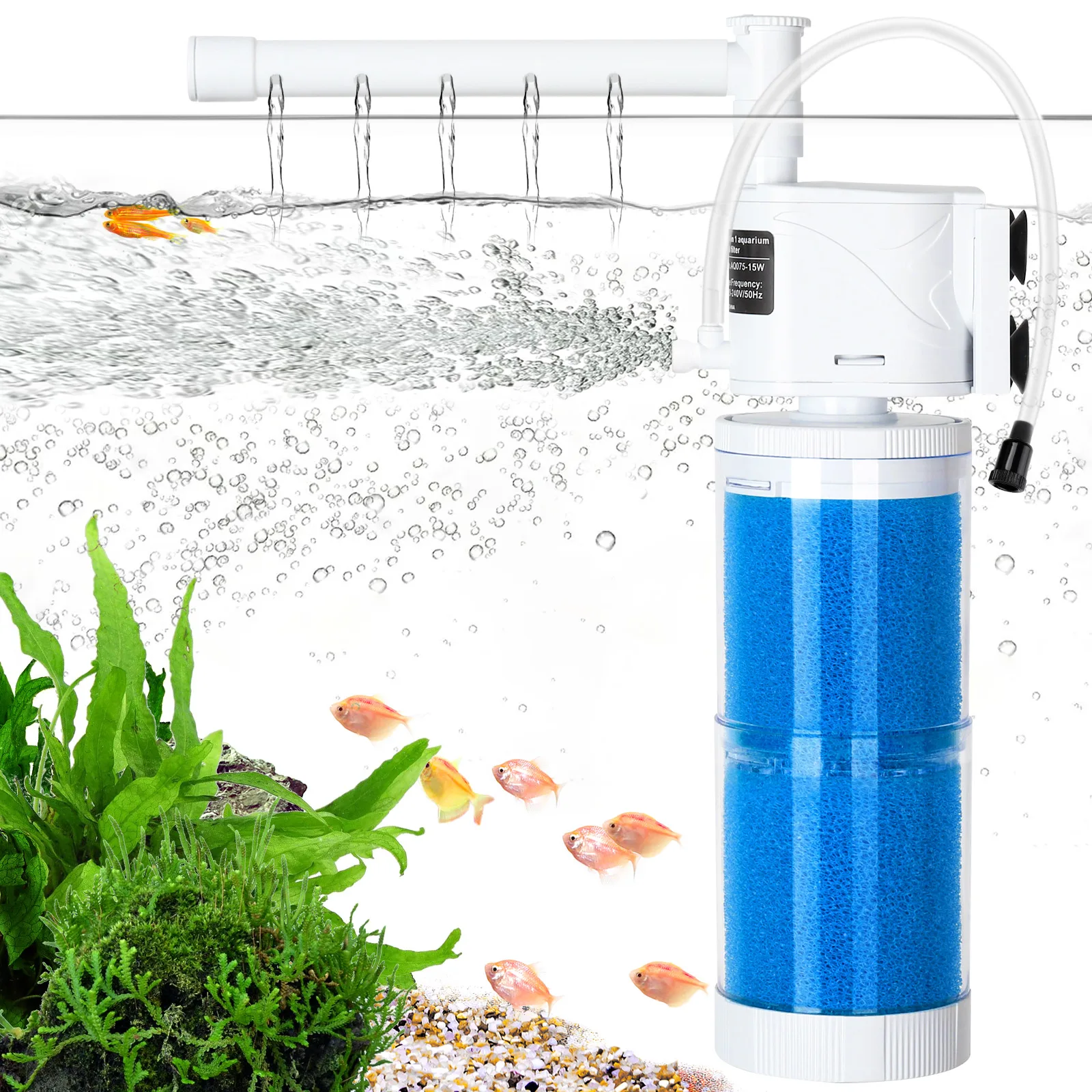 Filter and Accessories