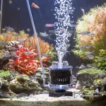 A sponge aquarium filter works in a richly landscaped aquarium.