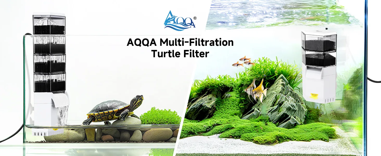 Filter and Accessories