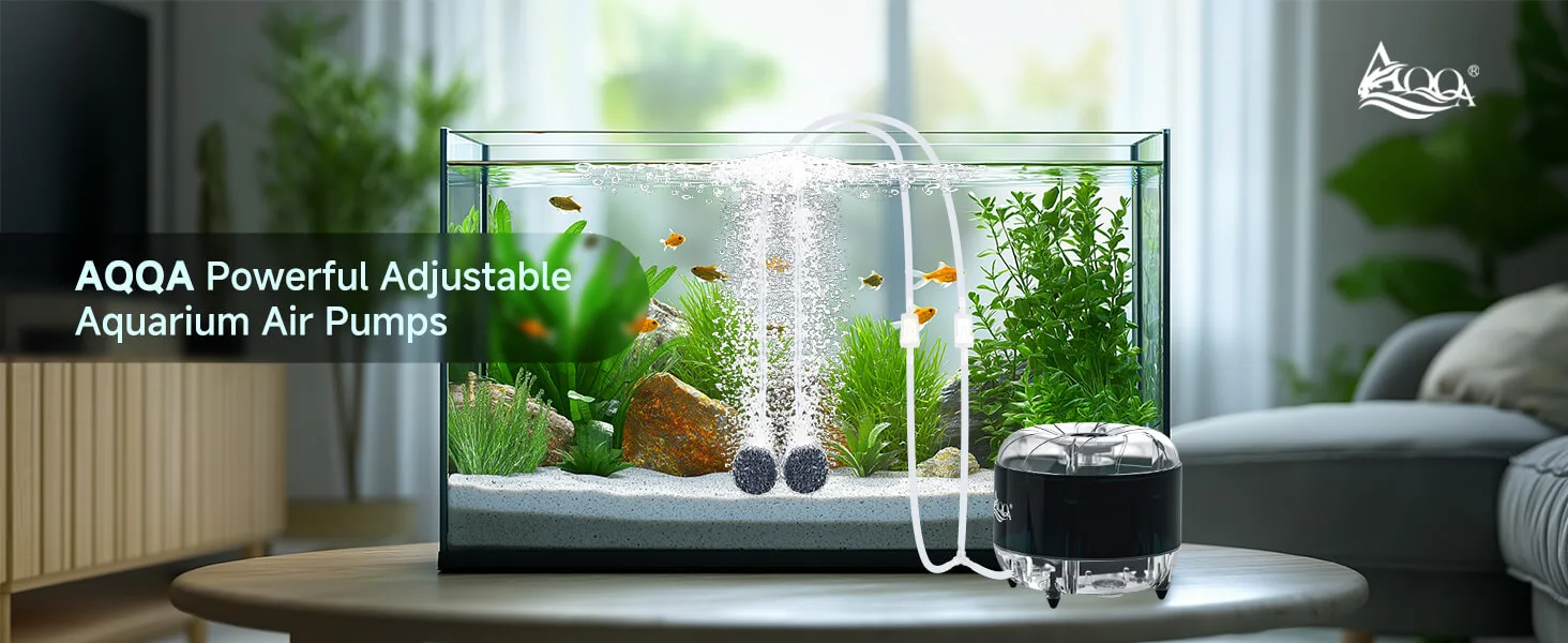 Air Pump