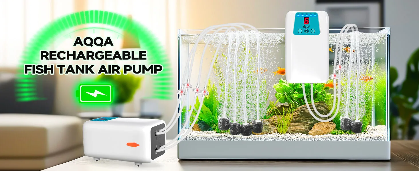 Air Pump