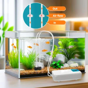 Air Pump