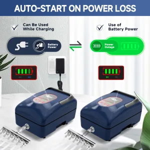 Air Pump