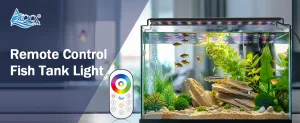 Aquarium Light