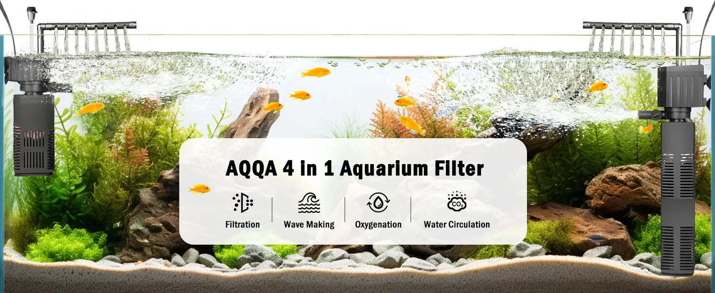 Filter and Accessories