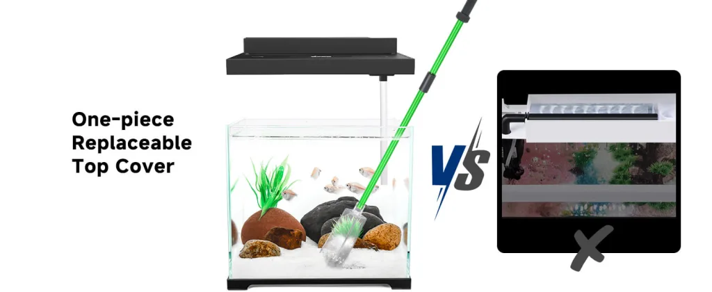 Fish Tank