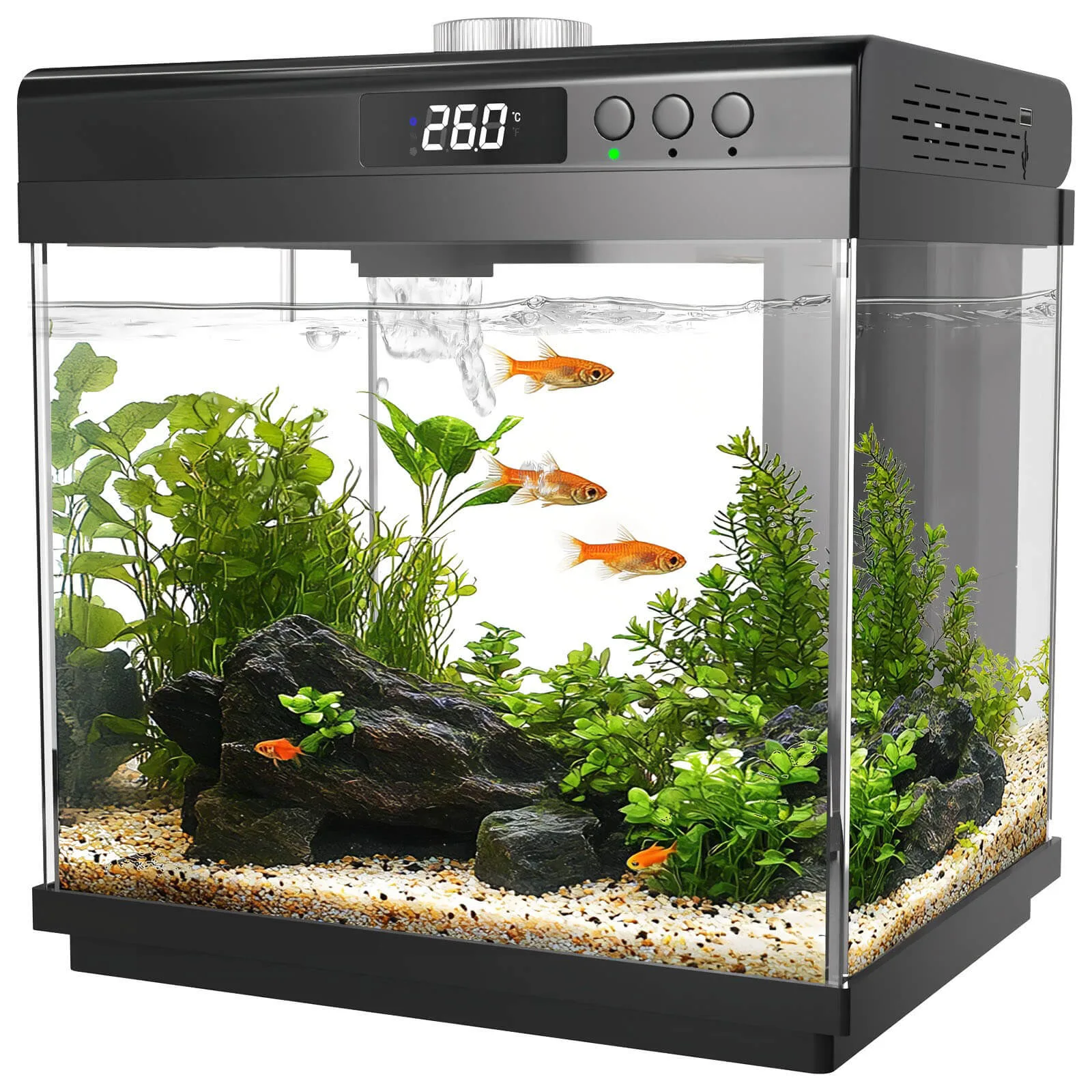 Fish Tank