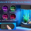 fish-tank-4