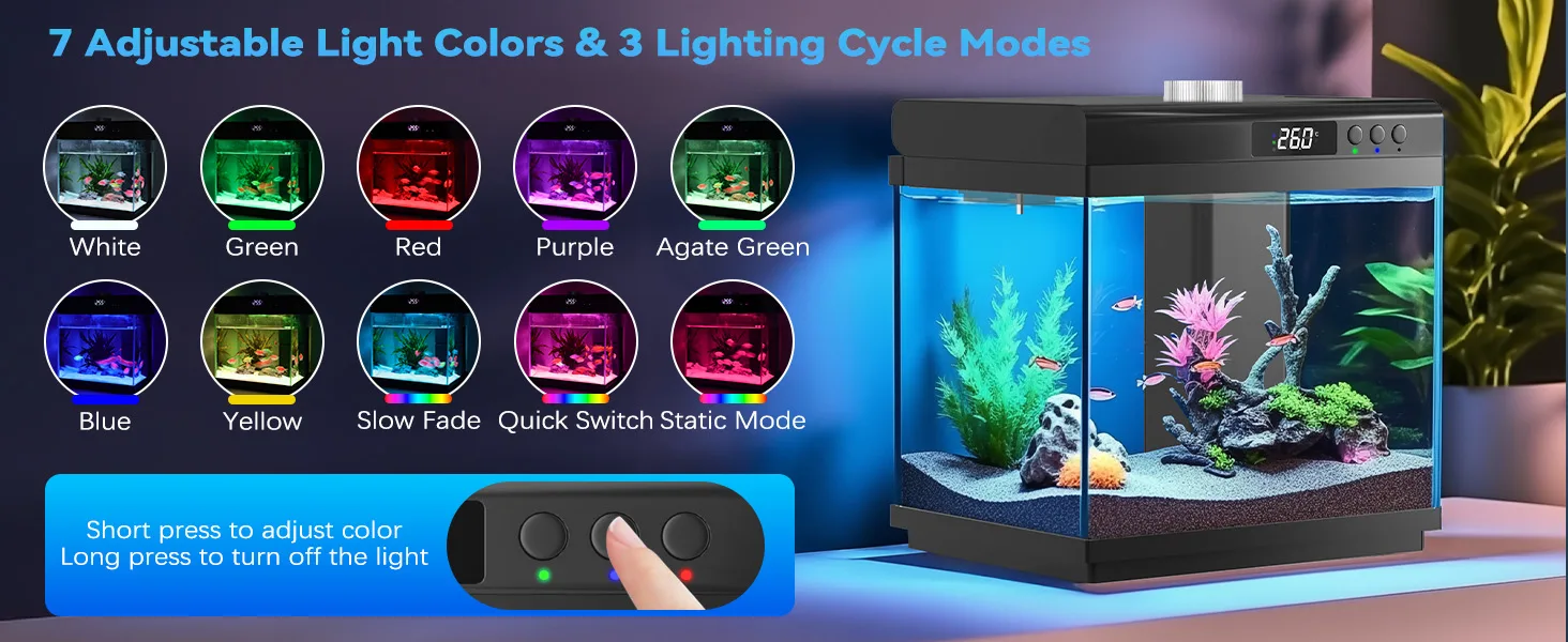 fish-tank-4