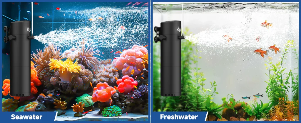 Filter and Accessories