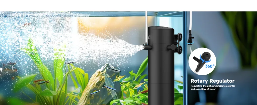Filter and Accessories