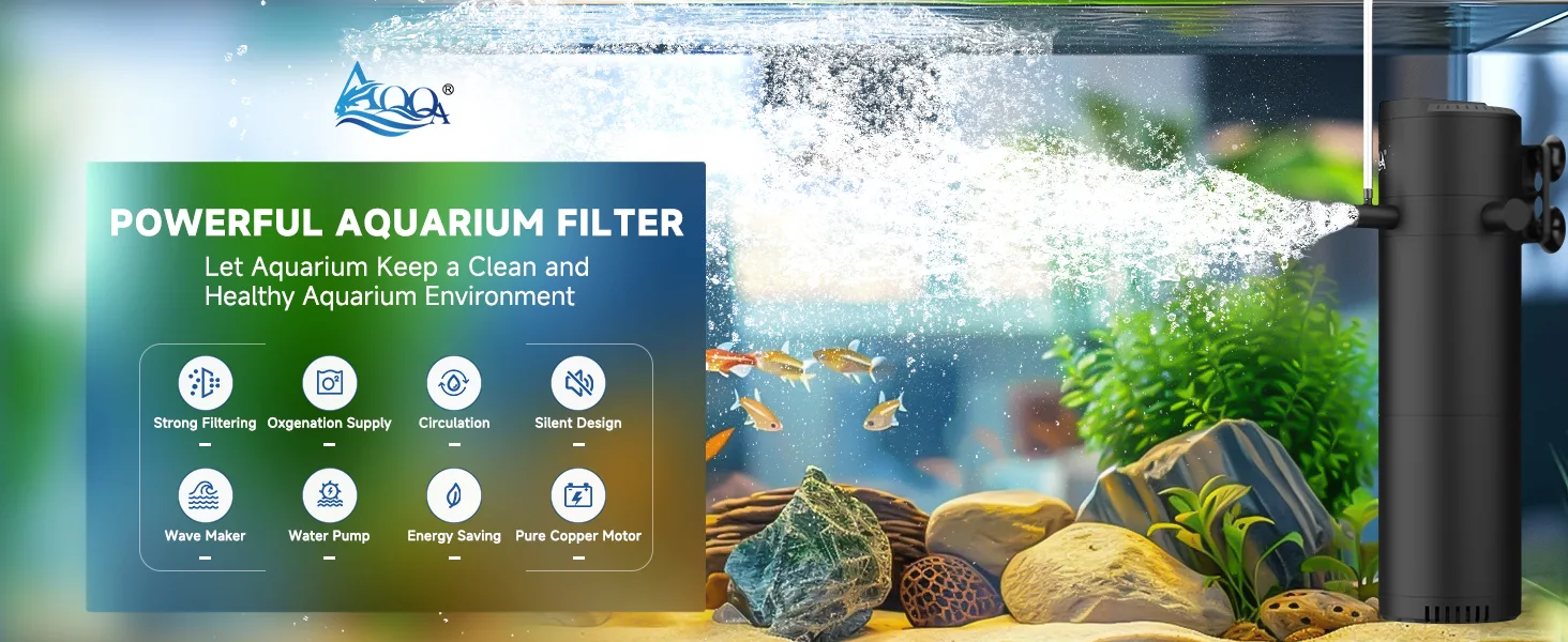 Filter and Accessories