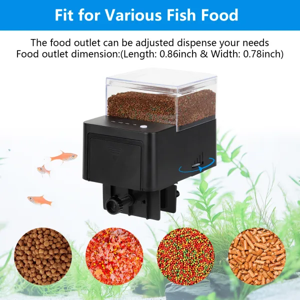 Fish Feeder
