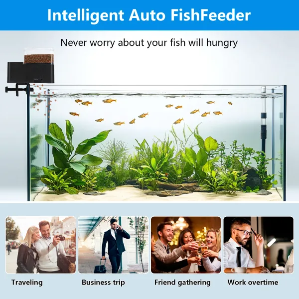Fish Feeder