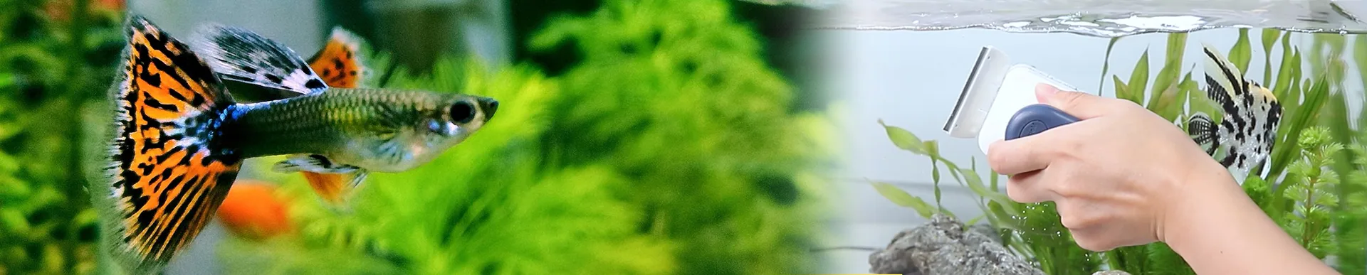 cleaner kit banner