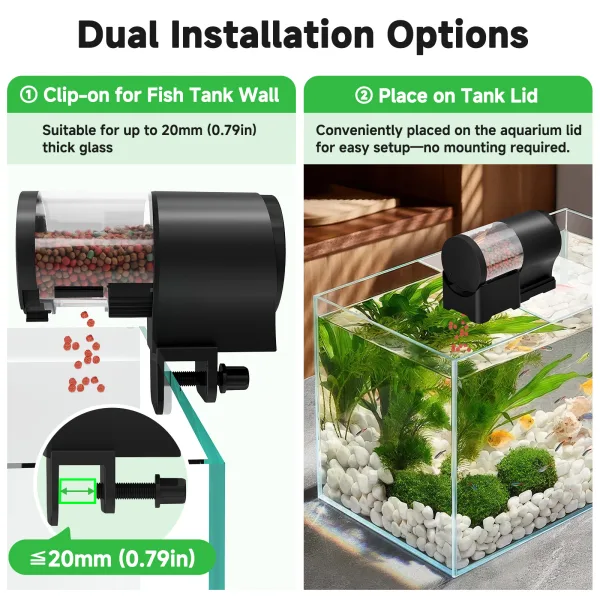 Fish Feeder