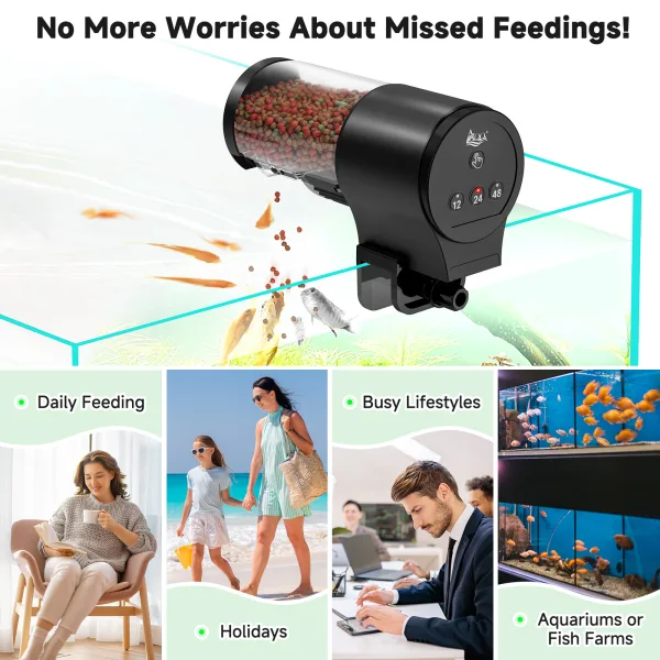 Fish Feeder