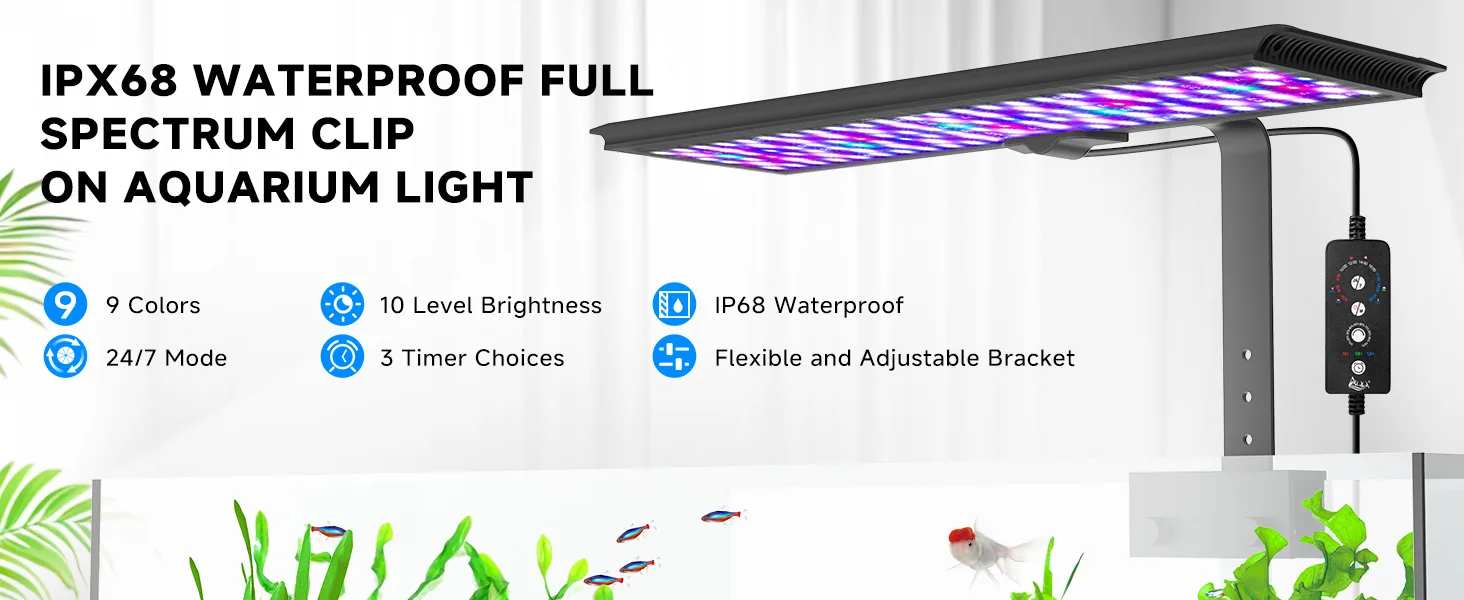light