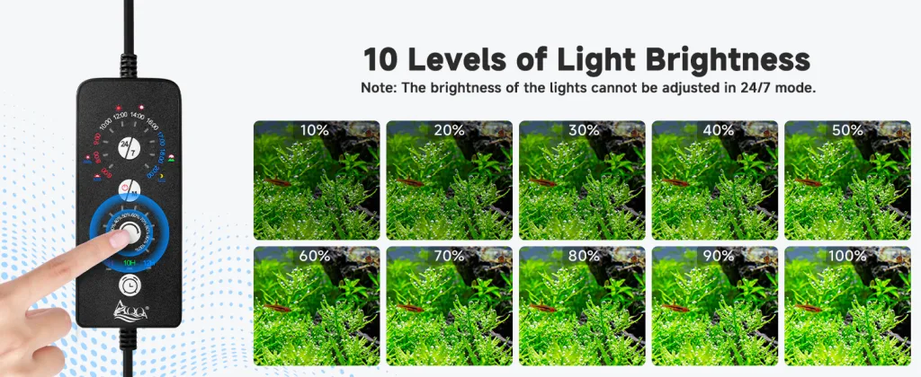 light